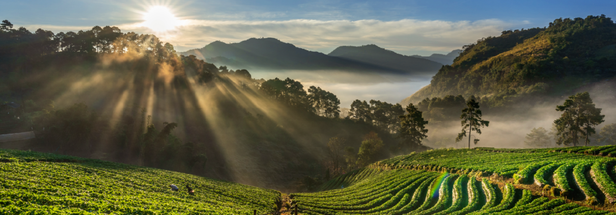 evitar passivos ambientais, gestão ambiental, sustentabilidade empresarial