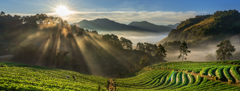 evitar passivos ambientais, gestão ambiental, sustentabilidade empresarial