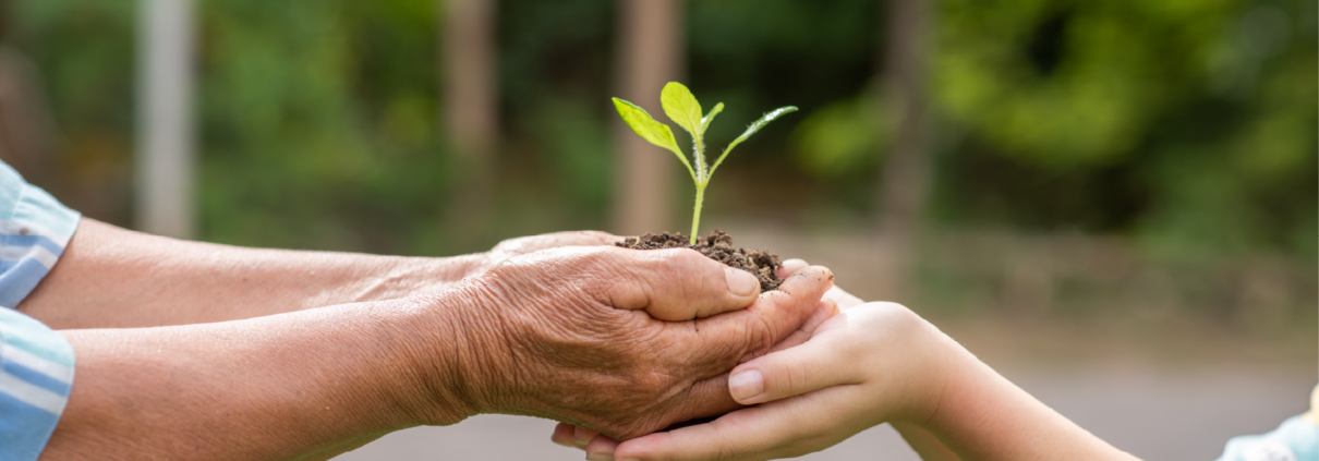 licenciamento ambiental, licenciamento estadual, licenciamento municipal, licenciamento federal