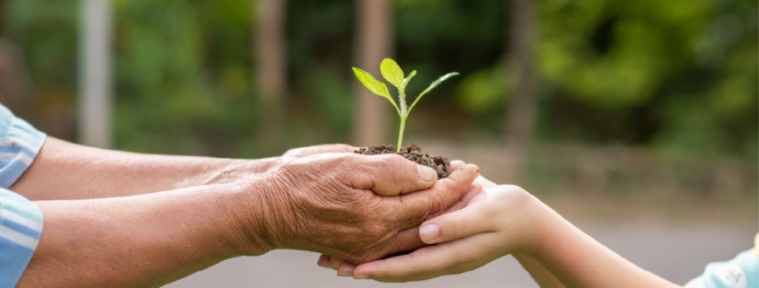 licenciamento ambiental, licenciamento estadual, licenciamento municipal, licenciamento federal