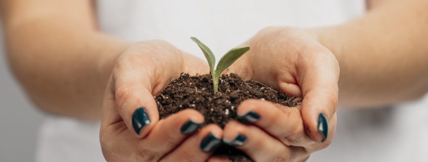 Georreferenciamento de imóvel rural para inventário e partilha de herança em Campo Grande, MS