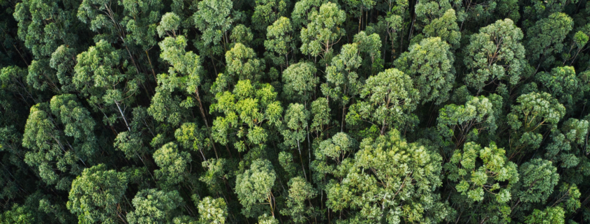 projeto sustentável com estudos ambientais