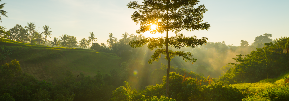 Relatório Ambiental Simplificado (RAS)