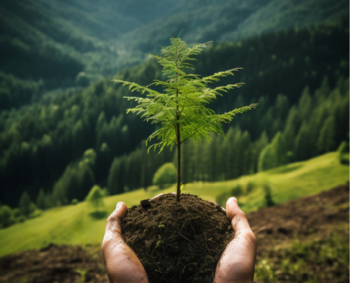 Compensação Ambiental