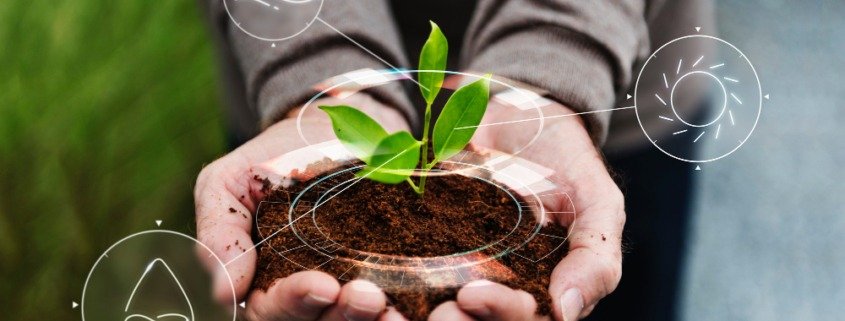 Empreendimentos imobiliários sustentáveis: do projeto à licença ambiental