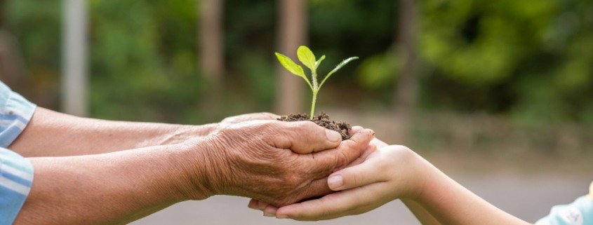 Consultoria para gestão de imóveis rurais