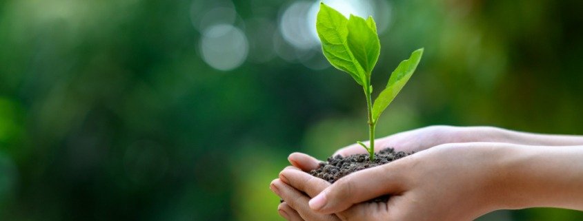 empresas ESG