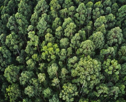 responsabilidade-civil-ambiental