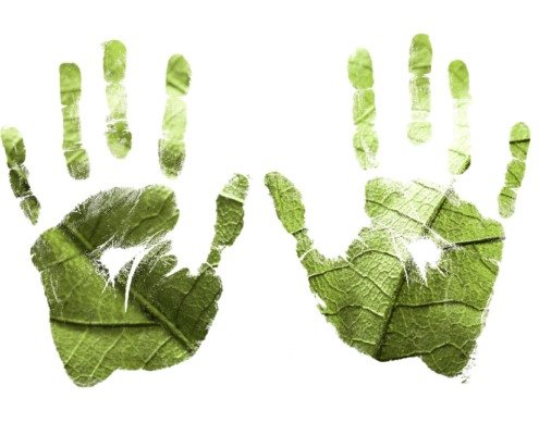 licenciamento-ambiental