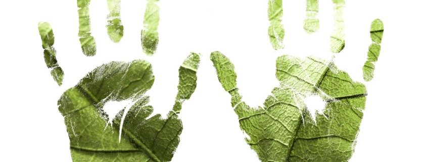 licenciamento-ambiental