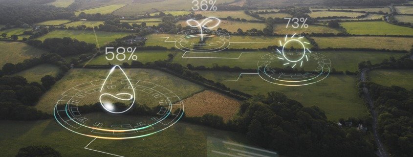 APP no terreno: o que fazer quando existe passivo e como regularizar