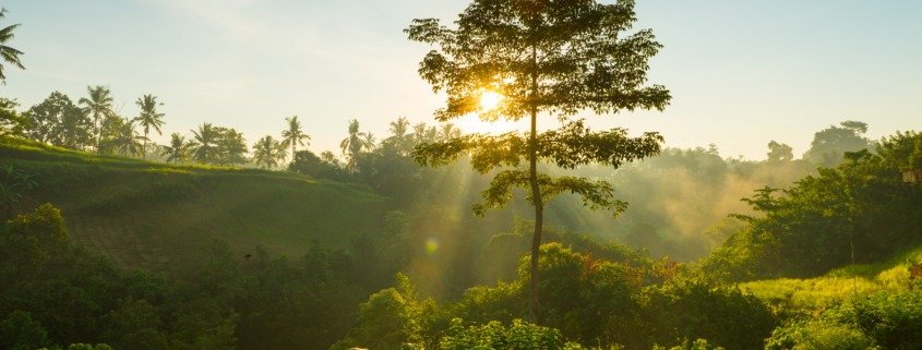 georreferenciamento de imóveis rurais