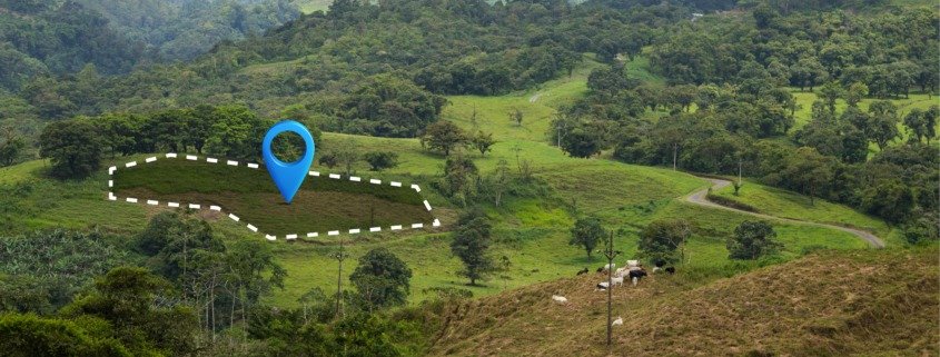 estudo prévio de viabilidade
